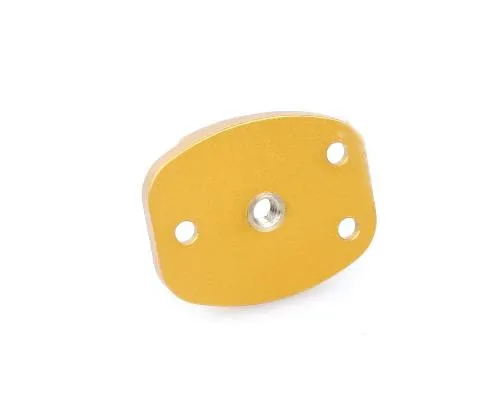 GoPro Snowboard Flat Surface Mount for Hero 1/2/3/3 /4 Camera - Gold